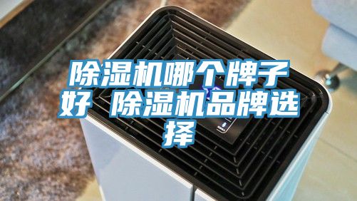 除濕機(jī)哪個牌子好 除濕機(jī)品牌選擇