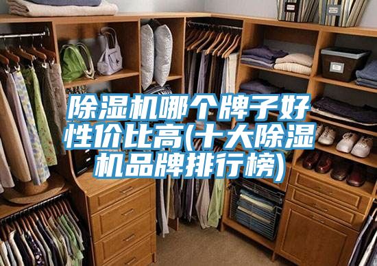 除濕機(jī)哪個牌子好性價比高(十大除濕機(jī)品牌排行榜)