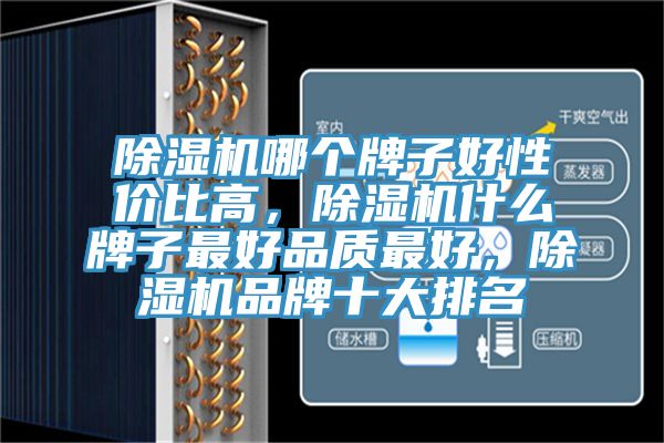 除濕機(jī)哪個牌子好性價比高，除濕機(jī)什么牌子最好品質(zhì)最好，除濕機(jī)品牌十大排名