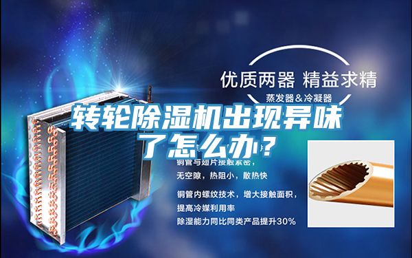 轉輪除濕機出現異味了怎么辦？