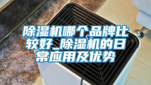 除濕機哪個品牌比較好_除濕機的日常應用及優(yōu)勢