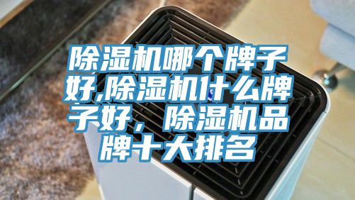 除濕機(jī)哪個牌子好,除濕機(jī)什么牌子好，除濕機(jī)品牌十大排名