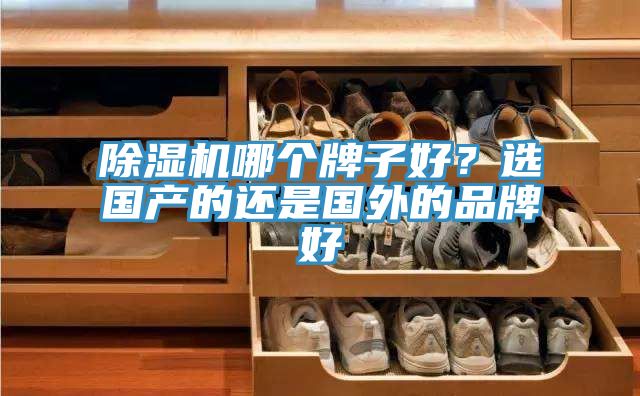 除濕機哪個牌子好？選國產的還是國外的品牌好