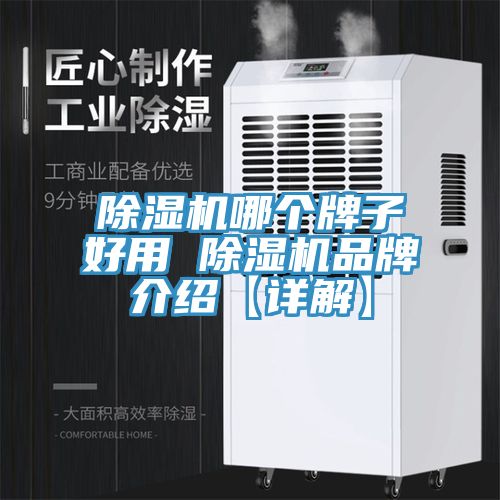 除濕機(jī)哪個牌子好用 除濕機(jī)品牌介紹【詳解】
