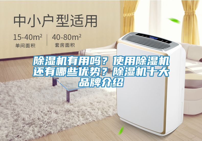 除濕機(jī)有用嗎？使用除濕機(jī)還有哪些優(yōu)勢(shì)？除濕機(jī)十大品牌介紹