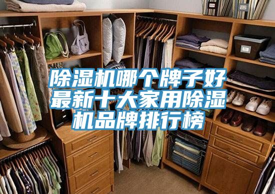 除濕機(jī)哪個牌子好最新十大家用除濕機(jī)品牌排行榜