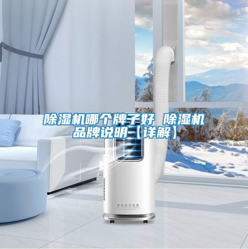 除濕機(jī)哪個牌子好 除濕機(jī)品牌說明【詳解】
