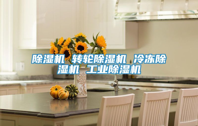 除濕機 轉(zhuǎn)輪除濕機 冷凍除濕機 工業(yè)除濕機