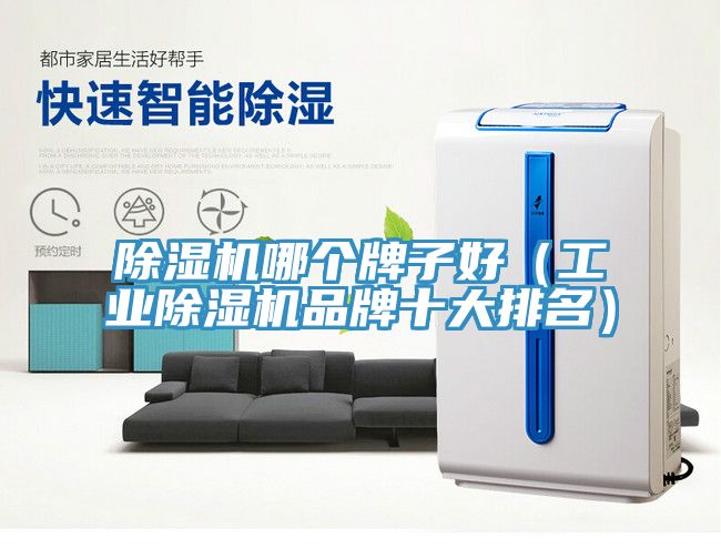 除濕機哪個牌子好（工業除濕機品牌十大排名）