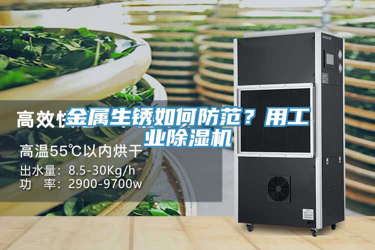 金屬生銹如何防范？用工業除濕機