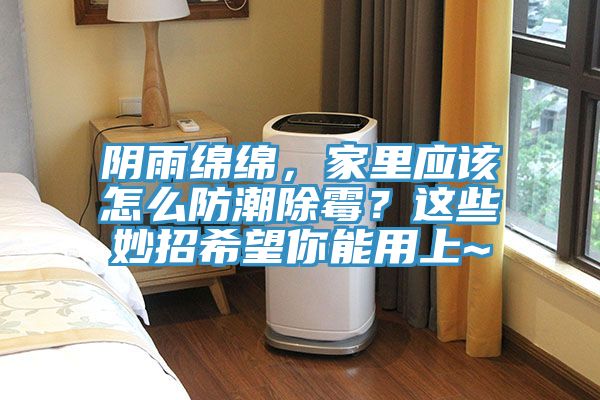 陰雨綿綿，家里應該怎么防潮除霉？這些妙招希望你能用上~