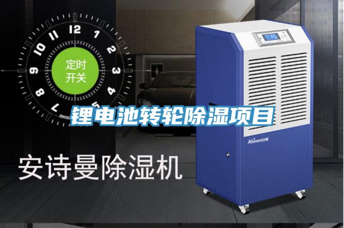 鋰電池轉輪除濕項目