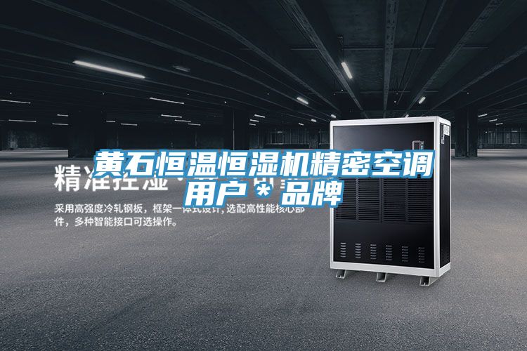 黃石恒溫恒濕機精密空調用戶*品牌