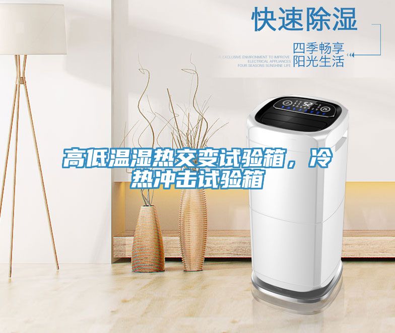 高低溫濕熱交變?cè)囼?yàn)箱，冷熱沖擊試驗(yàn)箱