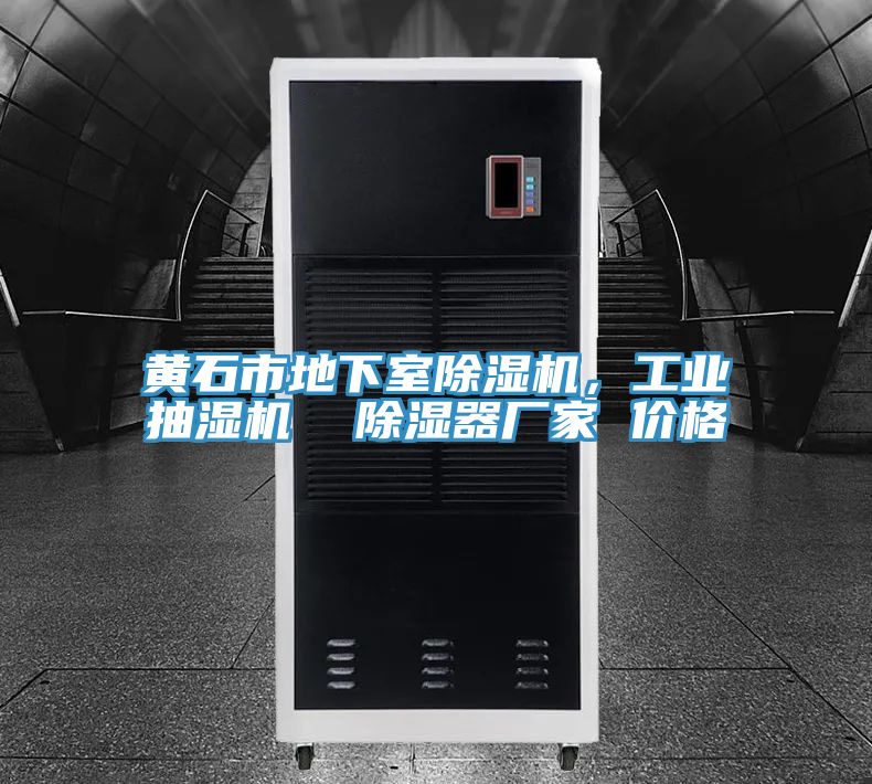 黃石市地下室除濕機(jī)，工業(yè)抽濕機(jī)  除濕器廠家 價(jià)格