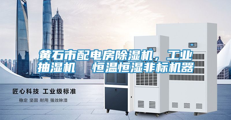 黃石市配電房除濕機,工業(yè)抽濕機 恒溫恒濕非標(biāo)機器