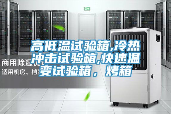 高低溫試驗箱,冷熱沖擊試驗箱,快速溫變試驗箱,烤箱