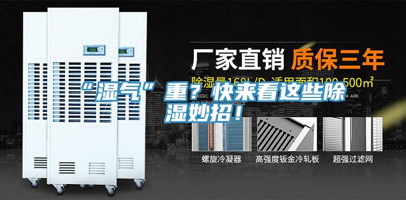 “濕氣”重？快來看這些除濕妙招！