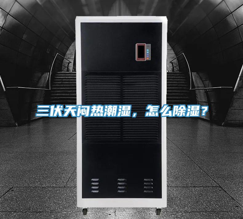 三伏天悶熱潮濕，怎么除濕？