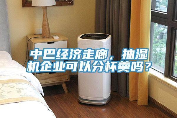 中巴經(jīng)濟(jì)走廊，抽濕機(jī)企業(yè)可以分杯羹嗎？