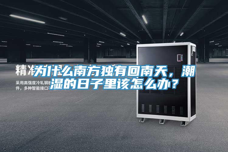 為什么南方獨(dú)有回南天，潮濕的日子里該怎么辦？