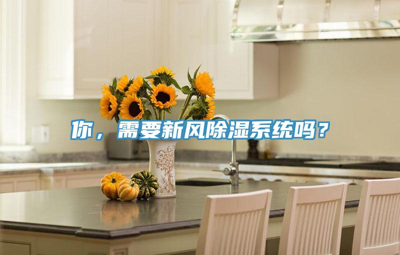 你，需要新風除濕系統嗎？