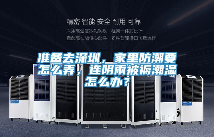 準備去深圳，家里防潮要怎么弄，連陰雨被褥潮濕怎么辦？