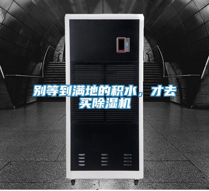 別等到滿地的積水，才去買除濕機